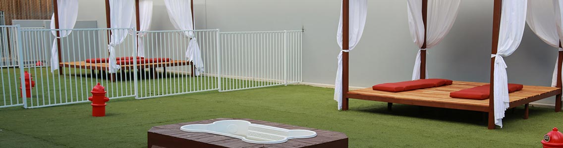 Las Vegas Dog Hotel - Dog Day Care Center - Affordable luxurious