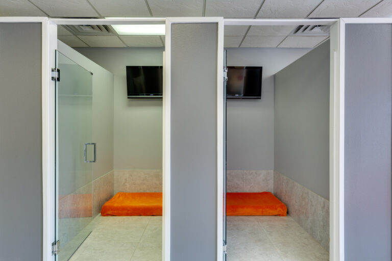 Picture of Luxury Dog Boarding – Luxe Pet Hotels
