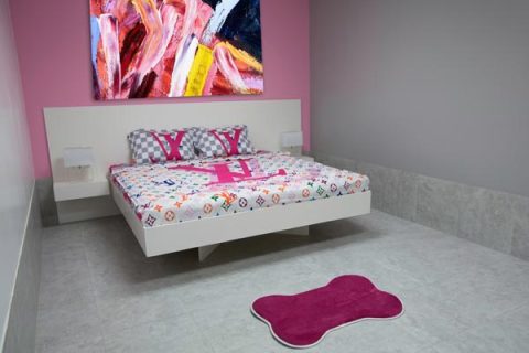 Chewy-Vuitton-Dog-Suite-8