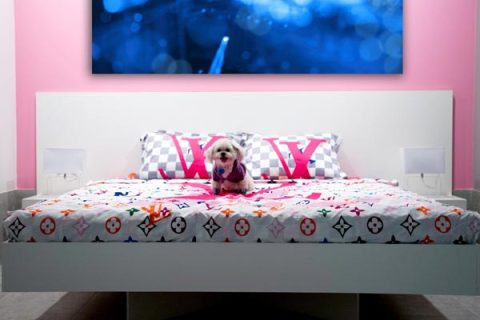 Chewy-Vuitton-Dog-Suite-9