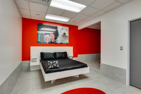 Luxe Pet Hotel Small -29