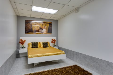 Luxe Pet Hotel Small -34